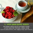 심장의 별명 : 염통(소금통) 이미지