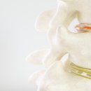 넘버원정형외과의원 이미지