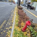 반도정형외과병원 | 경계석 낮춤공사 병원앞 차량이용 보도블럭 재시공