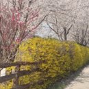 돌담농장 이미지