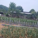 좋은땅부동산공인중개사사무소 이미지