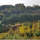 광교갤럭시공인중개사사무소 이미지