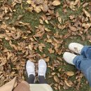 서울기독대학교 치유상담대학원 이미지