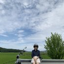 11500-8-25-12 | 인천 영종도 벚꽃 명소 신시모도 스쿠터 라이딩 후기 ㅣ 2026 4월 배시간표 벚꽃 개화 정보