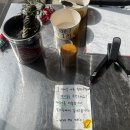 타코네 | 광주 동명동 치미창가 맛집 깁미타코 추천후기