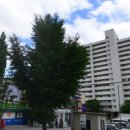 오늘투데이공인중개사사무소 이미지