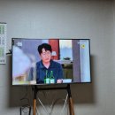 잼콩 네이버블로그