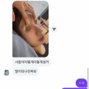 히말투어 | 영종도