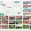 신월교(공원) 뉴시스