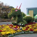 도기어린이공원 이미지