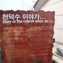 프롬초이 이미지