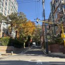 남자의 사랑과 생애 | Wedding 05. 강경 실크파의 모드니 드레스 피팅 후기 👰🏻‍♀️