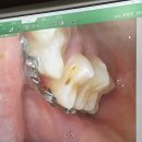 세인푸드 | 어쩌다보니 2월