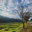 나루터 펜션 이미지