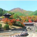 설리마을1 이미지