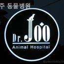 Dr. 주 동물병원 이미지