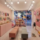 미소애견 미용실 이미지