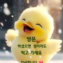 간추린 뉴스 이미지