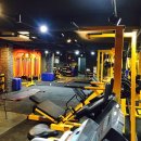 FIT U.S.A(피투사) 이미지