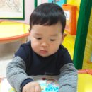 준모농장 이미지