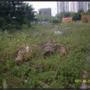 관창로4번길 이미지