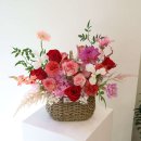 유노이아 이미지