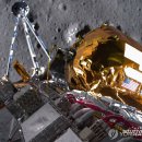 인튜이티브 이미지