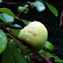 열린자리 이미지