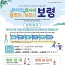 힐링의 바다 이미지