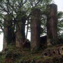 이교동일제군사시설 이미지