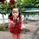 예촌농장 이미지