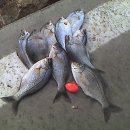 영빈메디칼 이미지