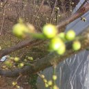 용진농장 이미지