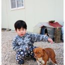 연화목장 이미지