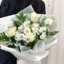 플레르희스타 이미지