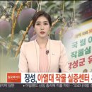 빈스구아바농장 네이버블로그