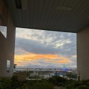 해물의제왕 | [덕천 미래로산부인과] 제왕절개 후 슬기로운(?) 6박 7일 입원 생활