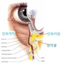 Re:눈밑주름 수술 부작용은 없나요? 이미지