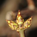 새실1길 이미지