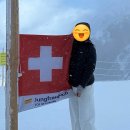 인생을담다돈까스알통떡볶이 | [스위스]인터라켄 | 융프라우 | 베른 | 스위스여행 | 로맨틱유로 | 내돈내산 | 유럽세미패키지여행...