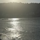 웃어요약국 | 신혼여행 8~9일차｜마요르카 소예르 맛집과 팔마 후기