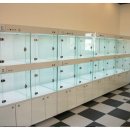 pet for you 이미지