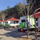 별빛캠프 이미지