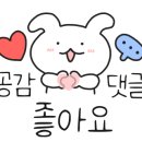 카츠헤세드덕정점