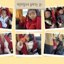 유진농장 이미지