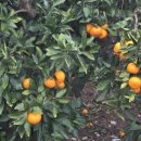 대구지방국세청 정보화센터 | [국세청 인사] 2026. 1. 5. 전국 세무서 과장급 정기 인사…694명