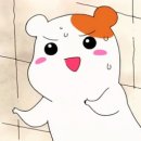 (주)우진참한우