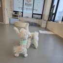 멍더가든 이미지