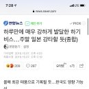 하루만에 매우 강하게 발달한 하기비스…주말 일본 강타할 듯(종합) 이미지