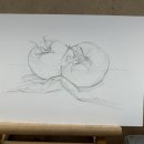 소묘/드로잉 이미지